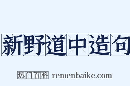 新野道中造句是什么意思的图片